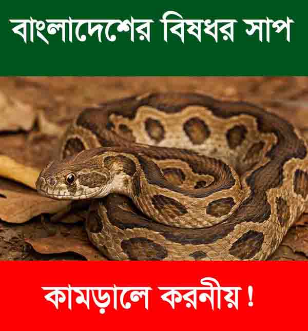 বাংলাদেশের বিষধর সাপ